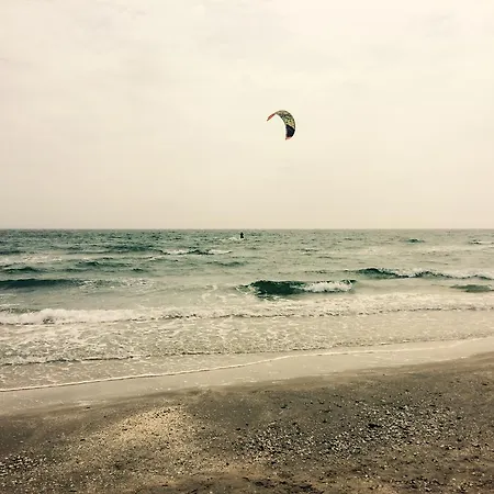 Adeline * Mamaia